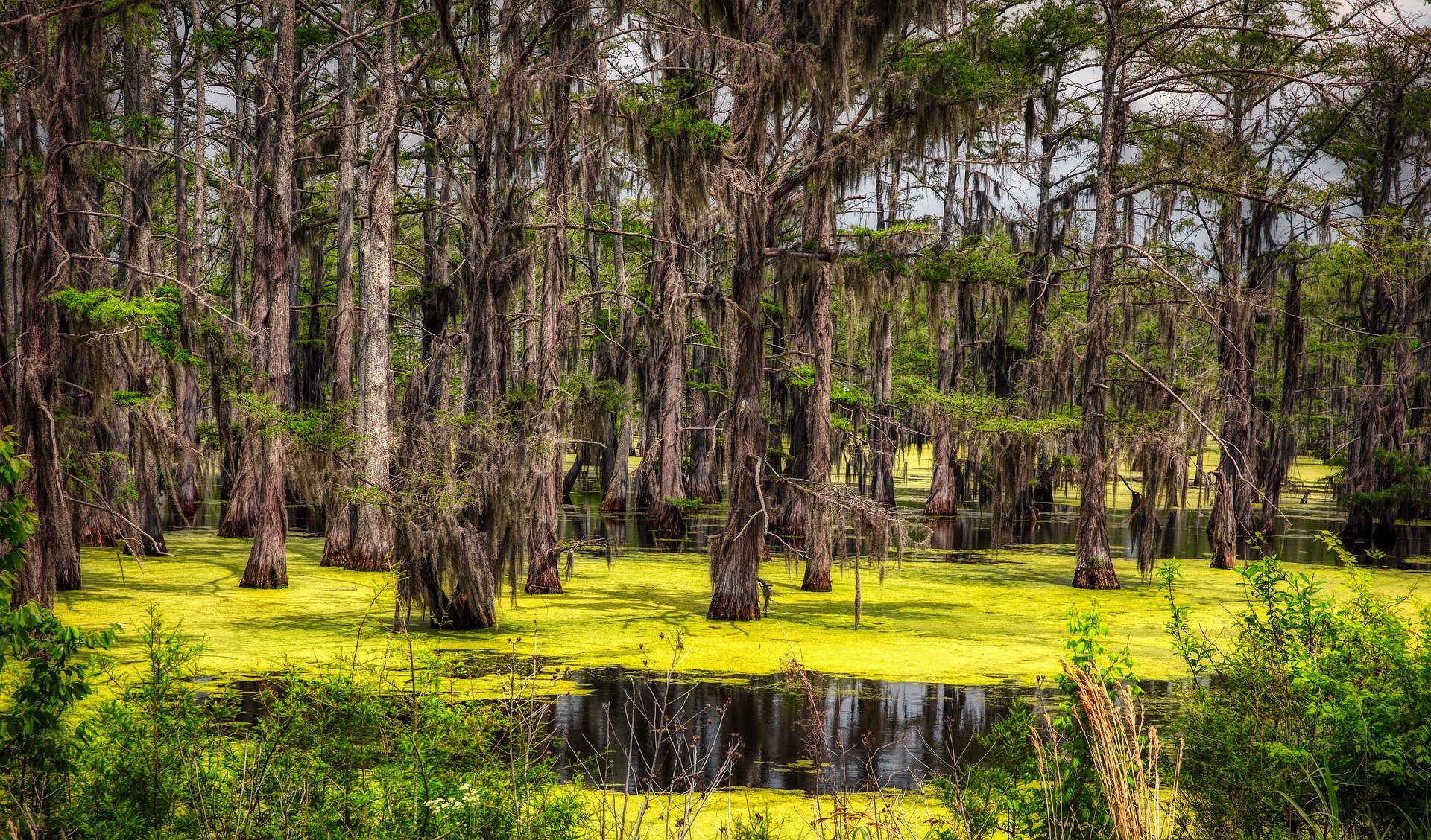 An exciting tour taking in the highlights of The Deep South